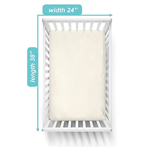 American Baby Company 100 Cotton Mini Crib Sheet 38 x 24