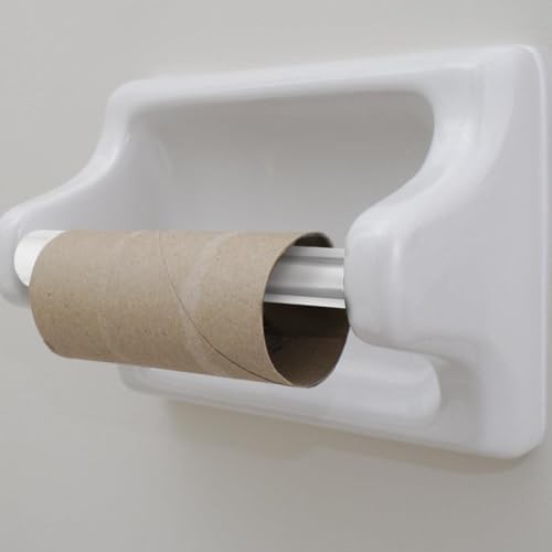Housoutil Toilet Paper Holder Replacement Spring Rod