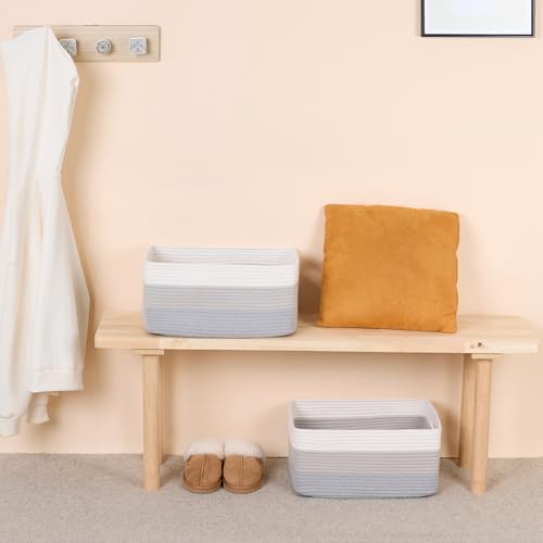 MiniArk Woven Rope Storage Baskets 2-Pack Gradient Grey