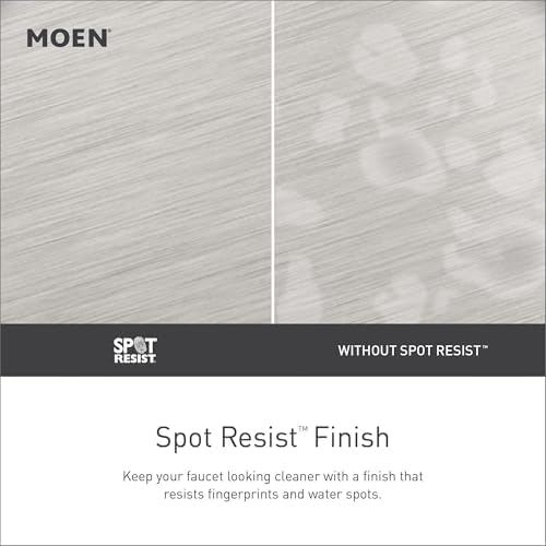 Moen Ignite Brushed Nickel Handheld Showerhead