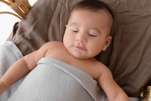 Papaya Kids Muslin Swaddle Blankets - 2-Pack Light Blue Brown