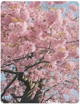 Wassud Cherry Blossom Crib Sheets Set for Boys Girls
