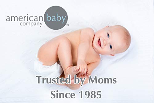 American Baby Company 2 Pack Natural Cotton Crib Sheets