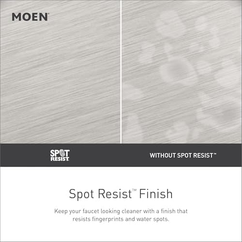 Moen Ignite Brushed Nickel Handheld Showerhead
