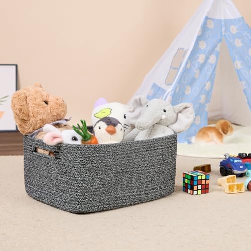 MiniArk 2-Pack Woven Storage Baskets 17x13x75 Dark Gray