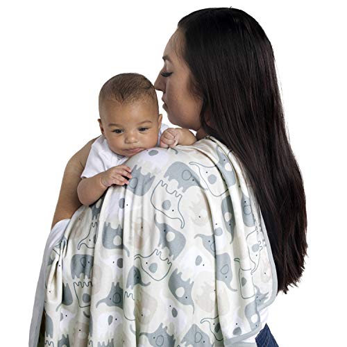 Ingenuity Naps Nights 2-Pack Swaddling Blanket Set - Grazer