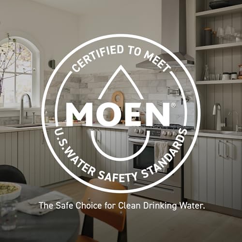 Moen Ignite Brushed Nickel Handheld Showerhead